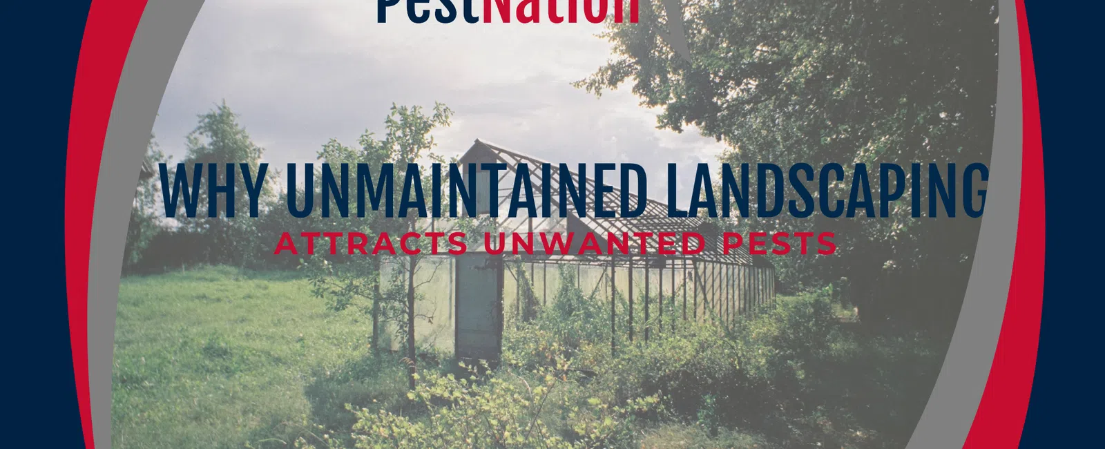 Why Unmaintained Landscaping Attracts Unwanted Pests