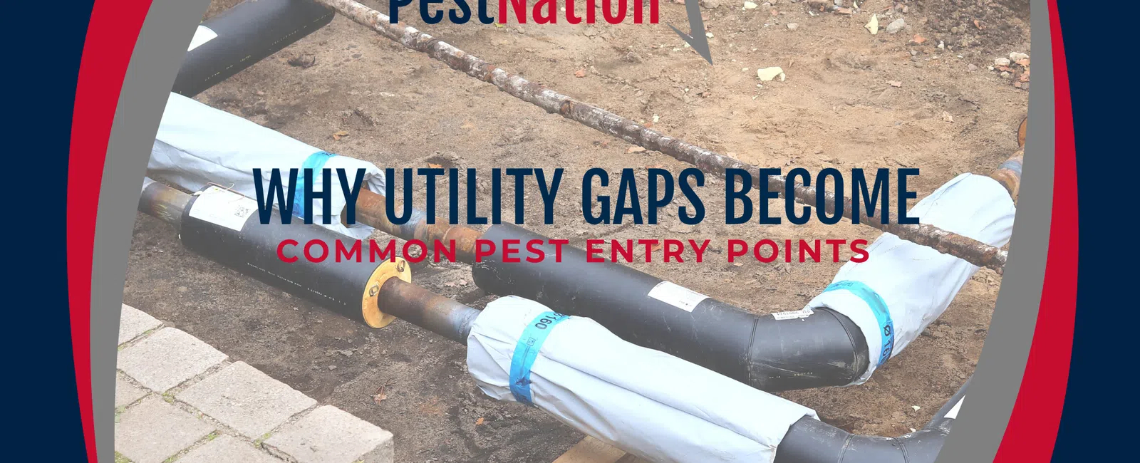 Why Utility Gaps Become Common Pest Entry Points