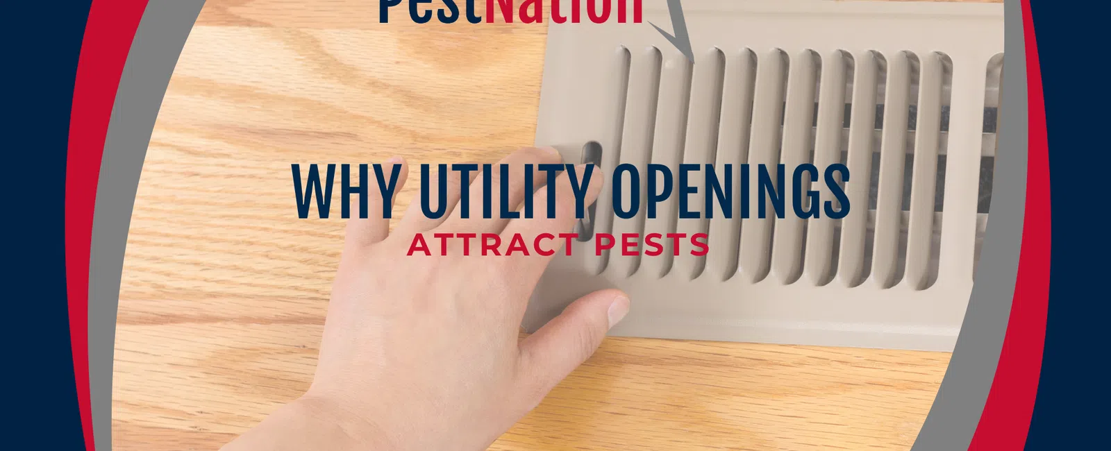 Why Utility Openings Attract Pests