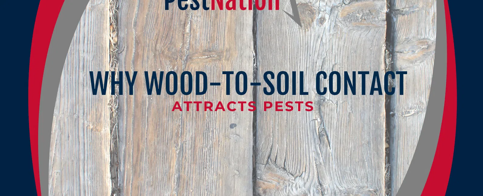 Why Wood-to-Soil Contact Attracts Pests