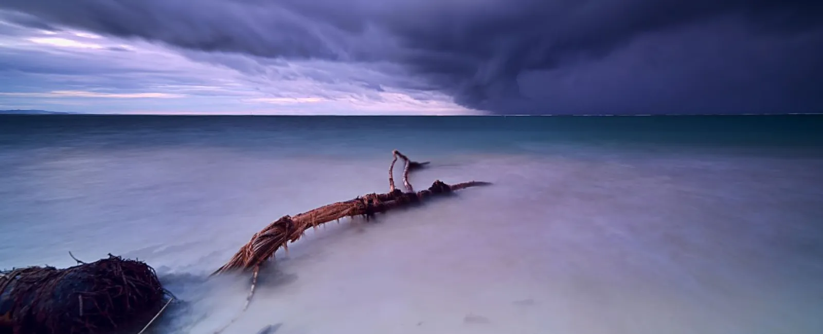 a log on a beach