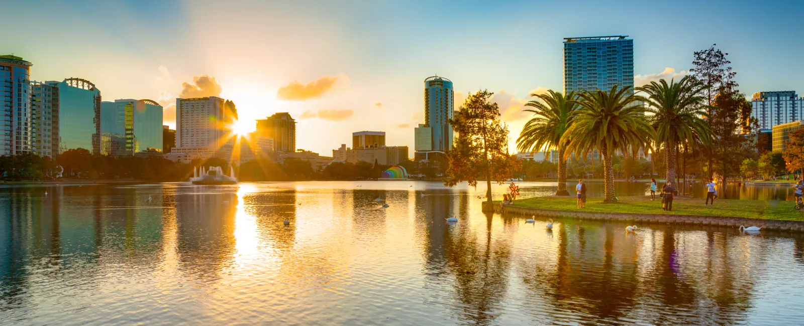 a body of water with buildings and trees around it