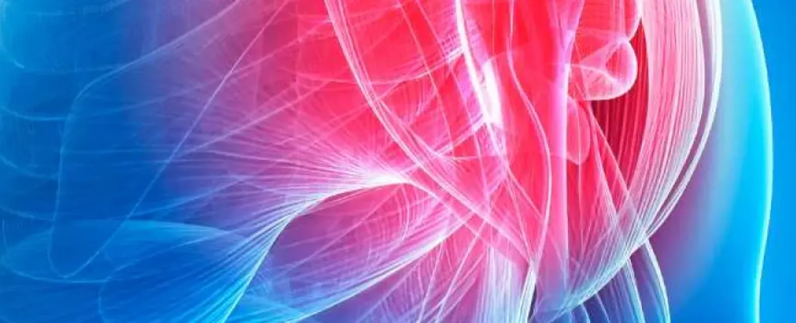 Bursitis vs. Tendinitis: Differences Between Common Shoulder Conditions