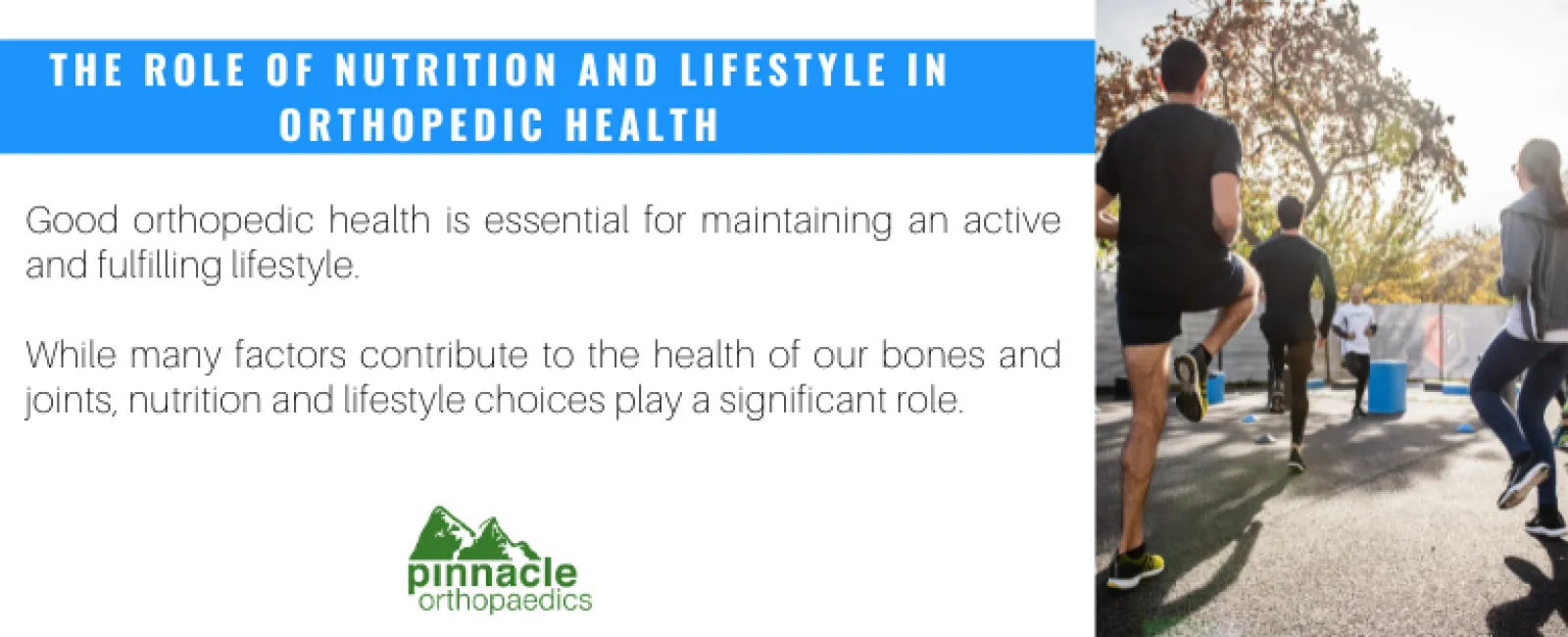 The Role of Nutrition and Lifestyle in Orthopedic Health