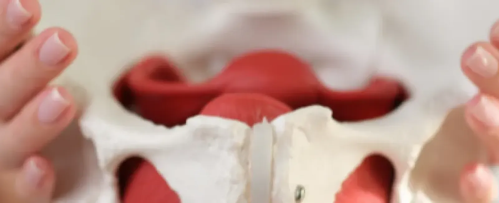 Osteoarthritis of the Hip: Symptoms, Causes, and Treatment Options