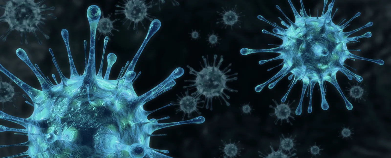 Choosing an Orthopaedic Clinic in The Time of COVID-19