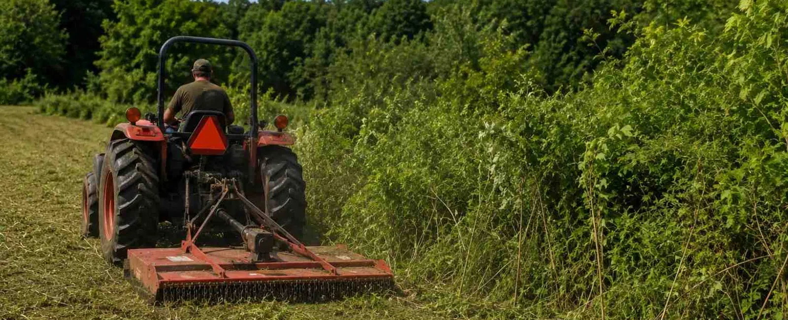 Farmer on red tractor mowing tall green brush alongside a field on a sunny day with blue sky and trees.