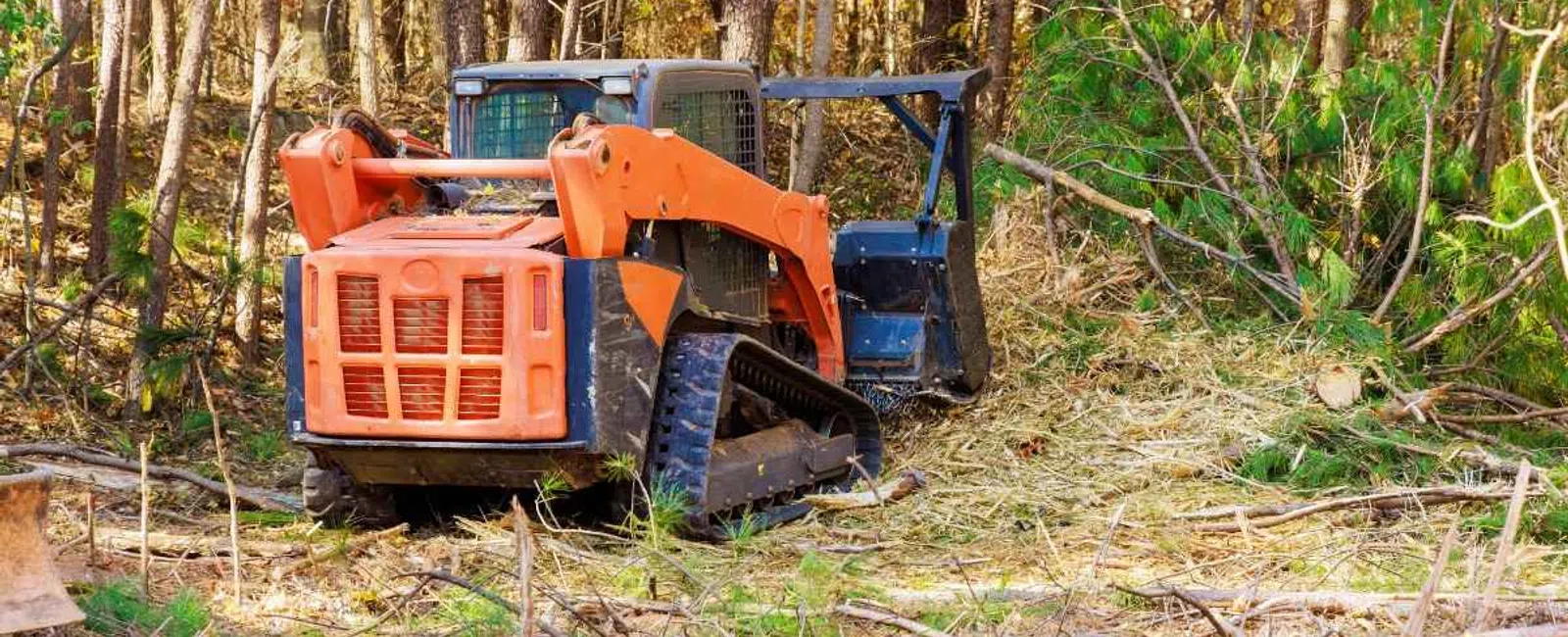 Orange and blue skid steer loader clearing brush and branches in a forested area with tall trees.
