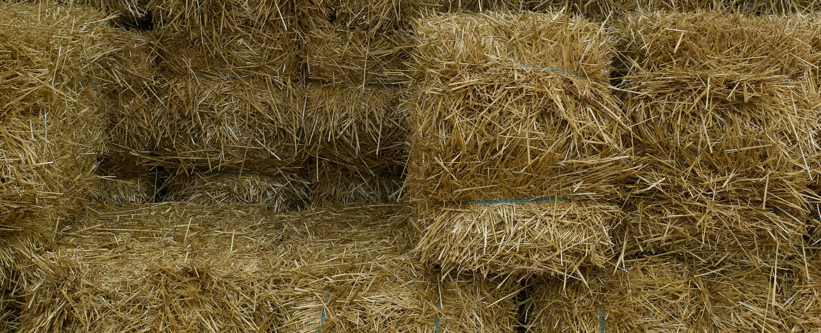 Stacked hay bales tightly packed in rows with loose straw scattered on the ground in front.
