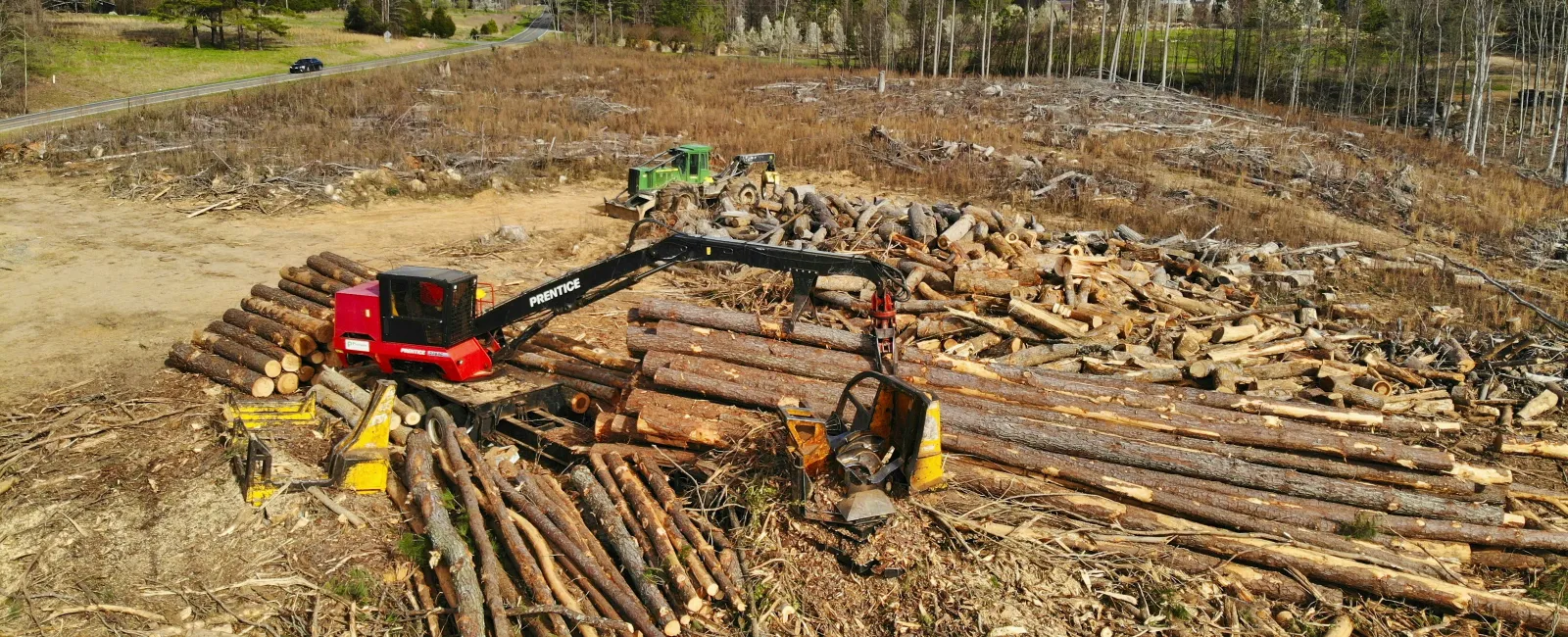 Logging machine sorting and stacking cut tree logs in a cleared forest area under a partly cloudy sky.