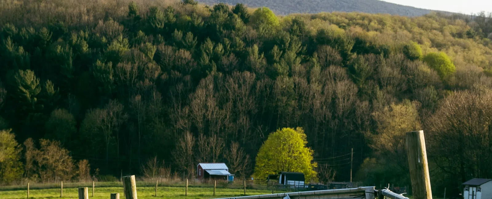 Metal farm gate on a grassy field with wooded hills and clear sky in the background at sunset.