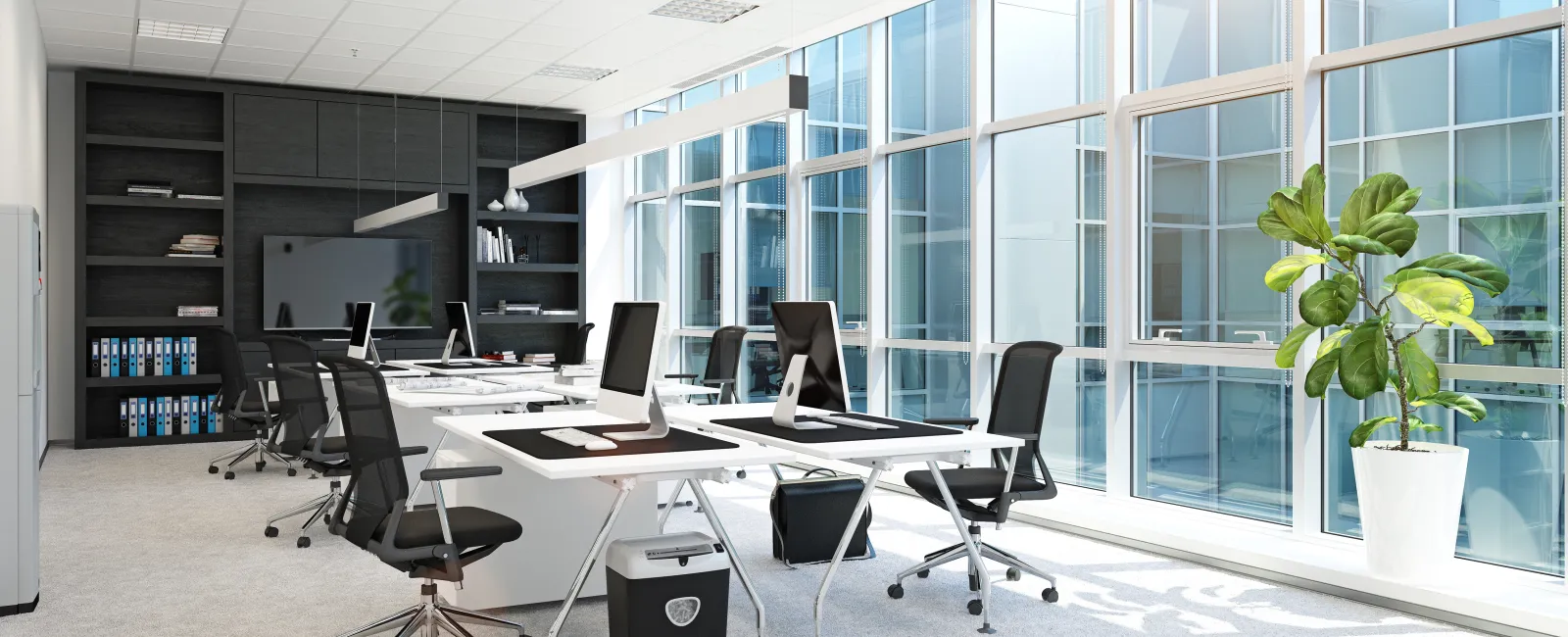 Bright modern office with large windows, sleek desks, ergonomic chairs, computers, and green plant in white pot.