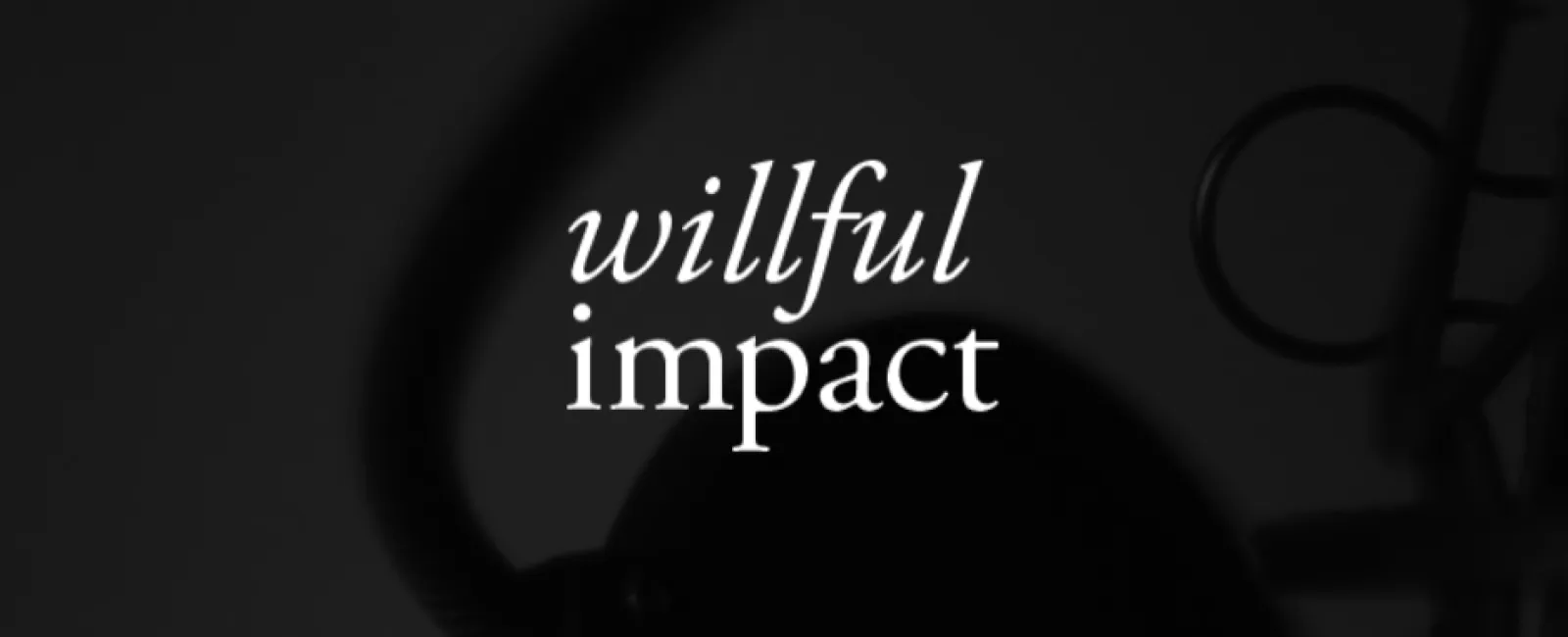 Willful Impact Interview