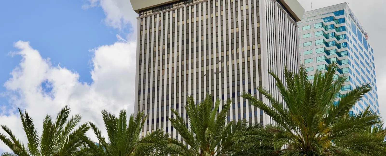 a tall building with palm trees