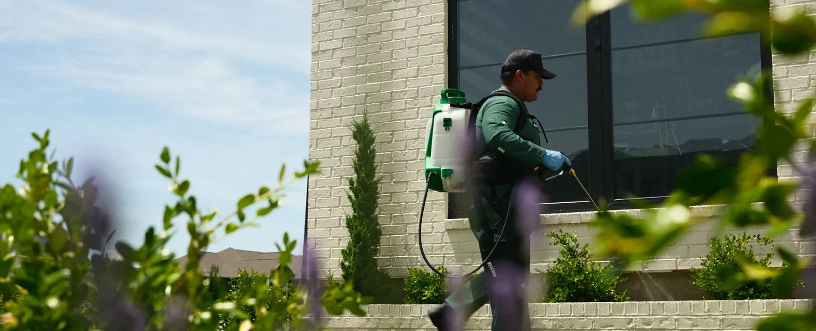 Gardener walking beside house with backpack sprayer applying pest control on plants under blue sky.