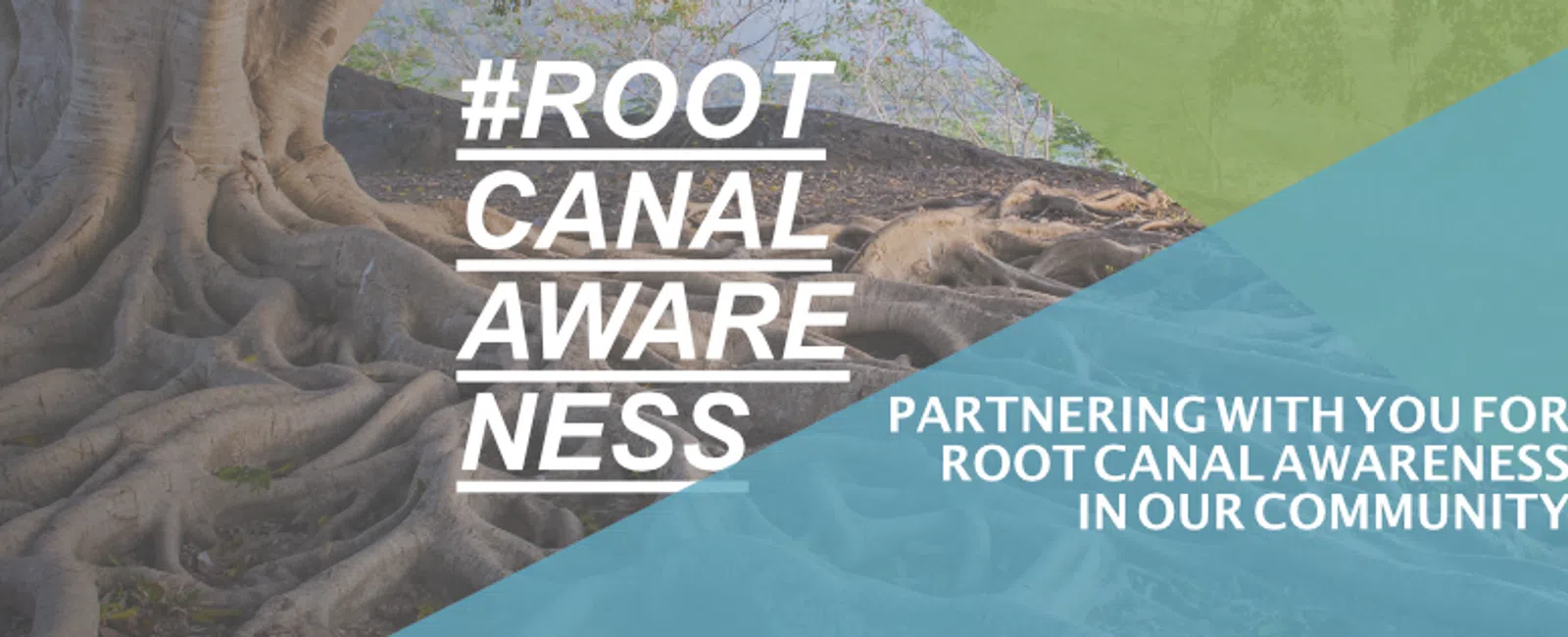 Root Canal Awareness Week