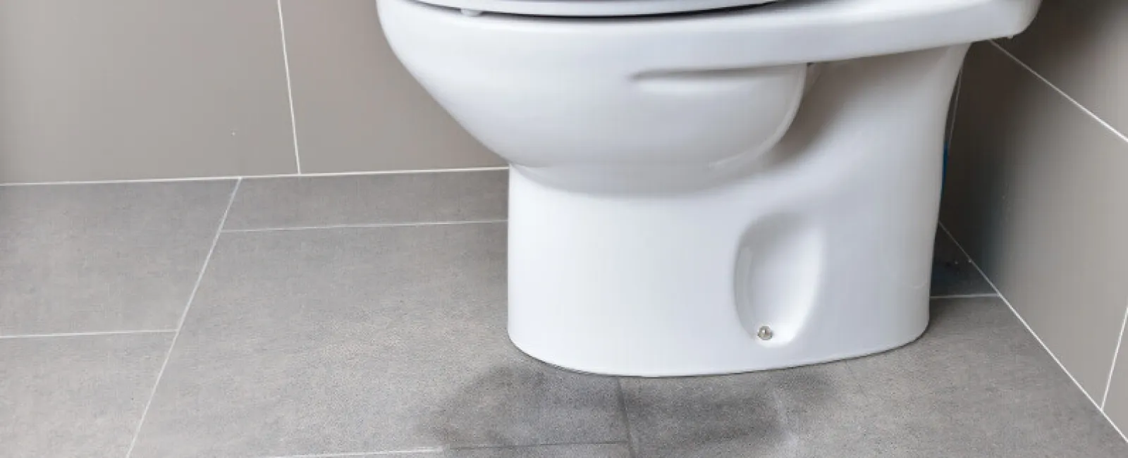 a toilet with a white seat