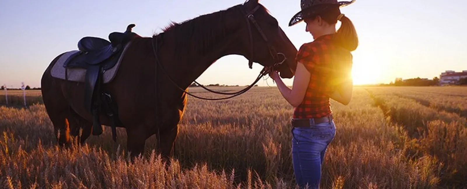 6 Rootin’ Tootin’ Country Western Products