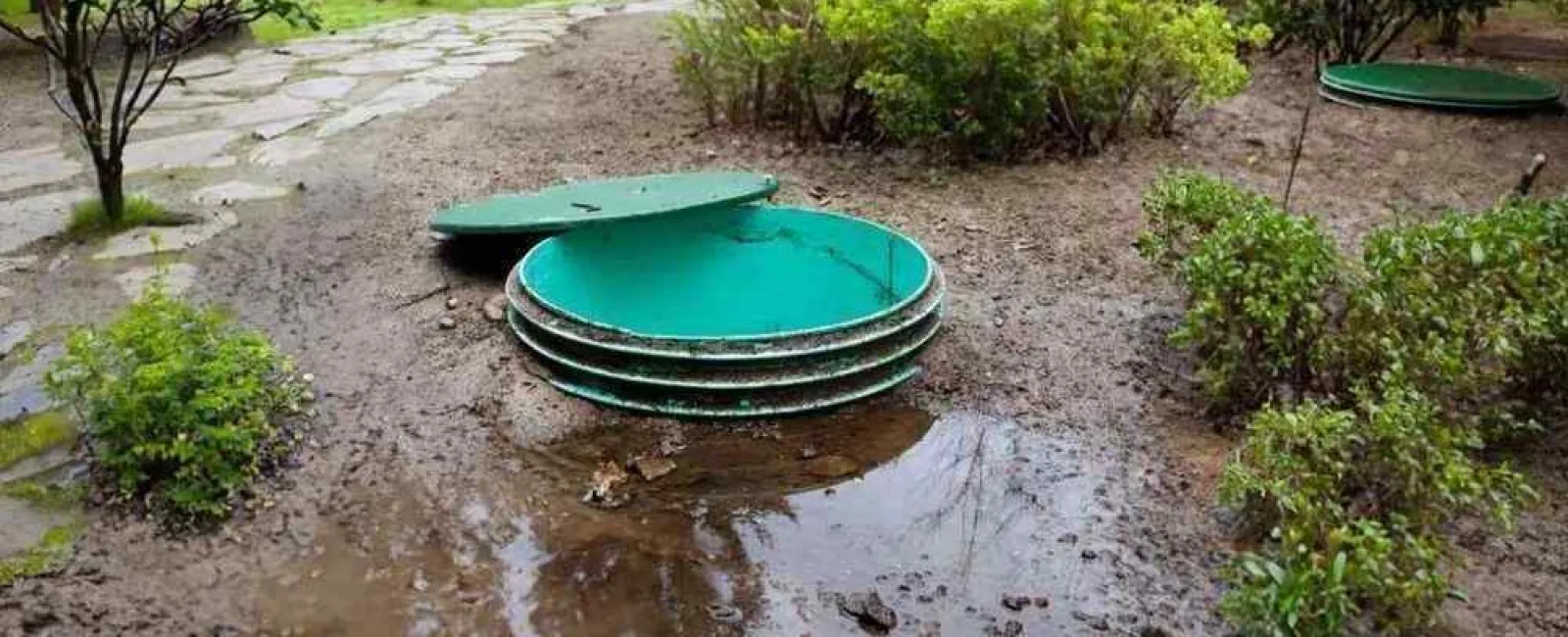 Septic System Troubleshooting: How to Identify and Solve Common Issues