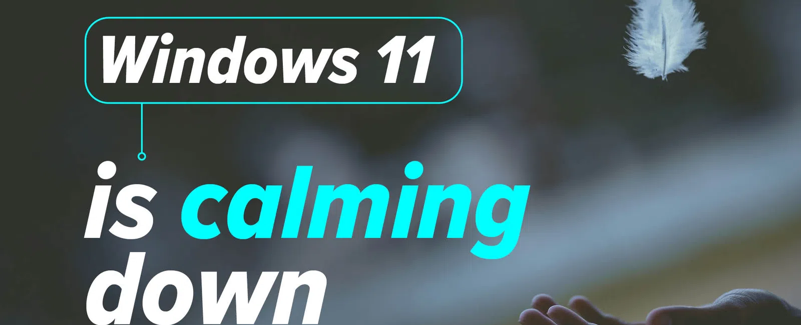 Hand reaching out to a floating feather with text overlay about Windows 11 calming down.