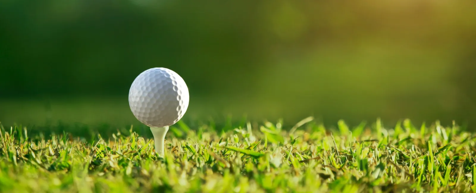 Close-up of a white golf ball on a tee in green grass with sunlight and blurred background.