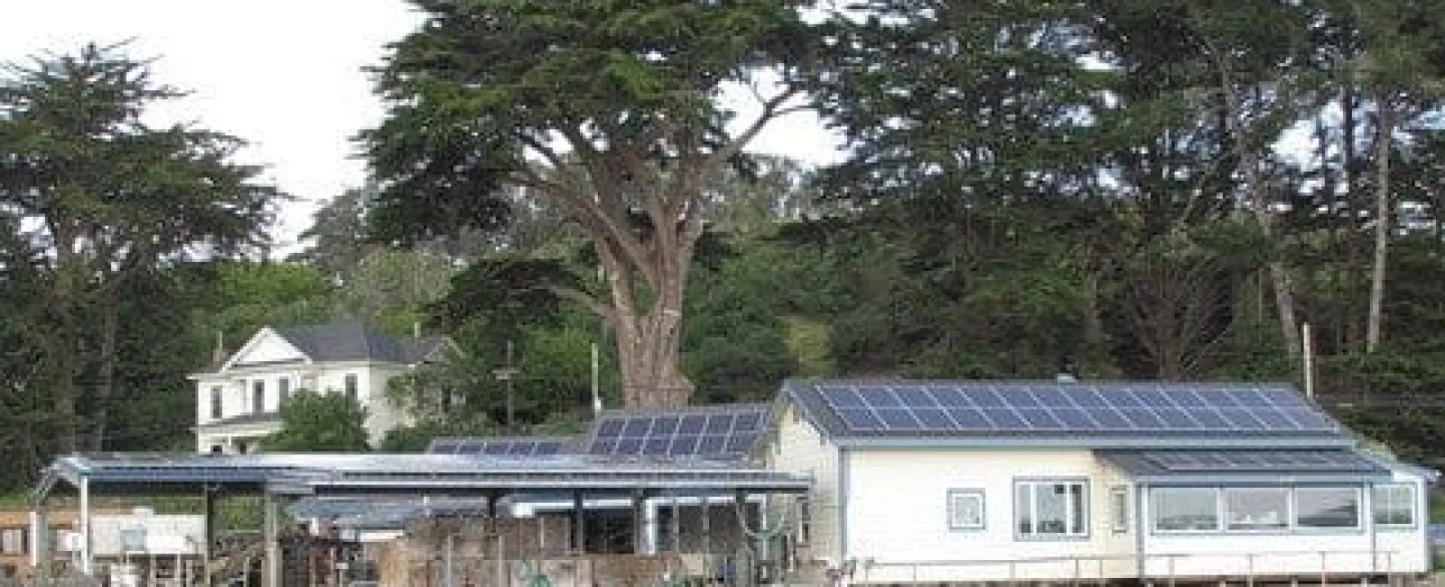 Hog Island Oyster Co. Now Powers 80% of Operations with Solar Power