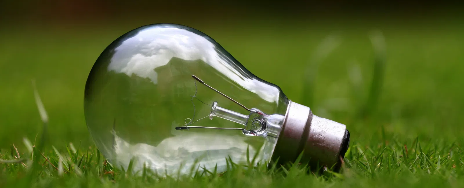 Clear incandescent light bulb lying on green grass with reflected sky and surrounding nature