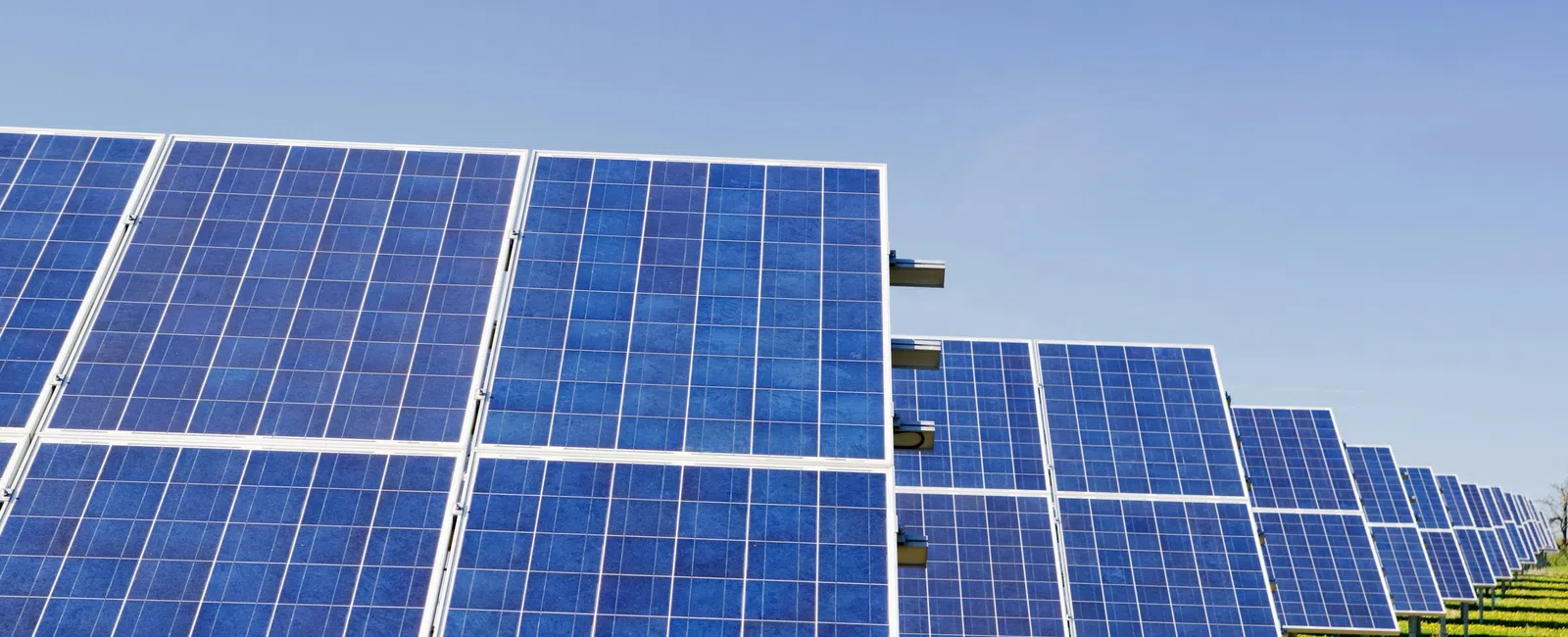 Rows of blue solar panels under clear sky absorbing sunlight in a grassy field for renewable energy.