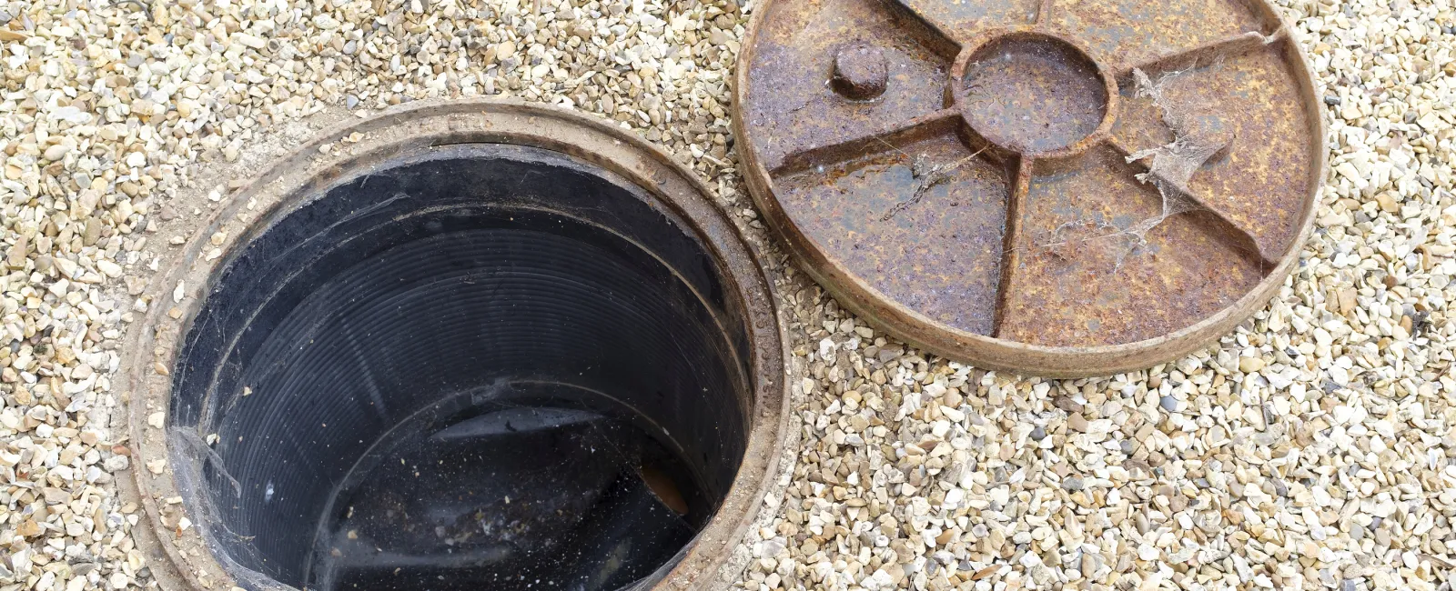 Why Does My Sewer Keep Backing up, and What Can I Do About It?