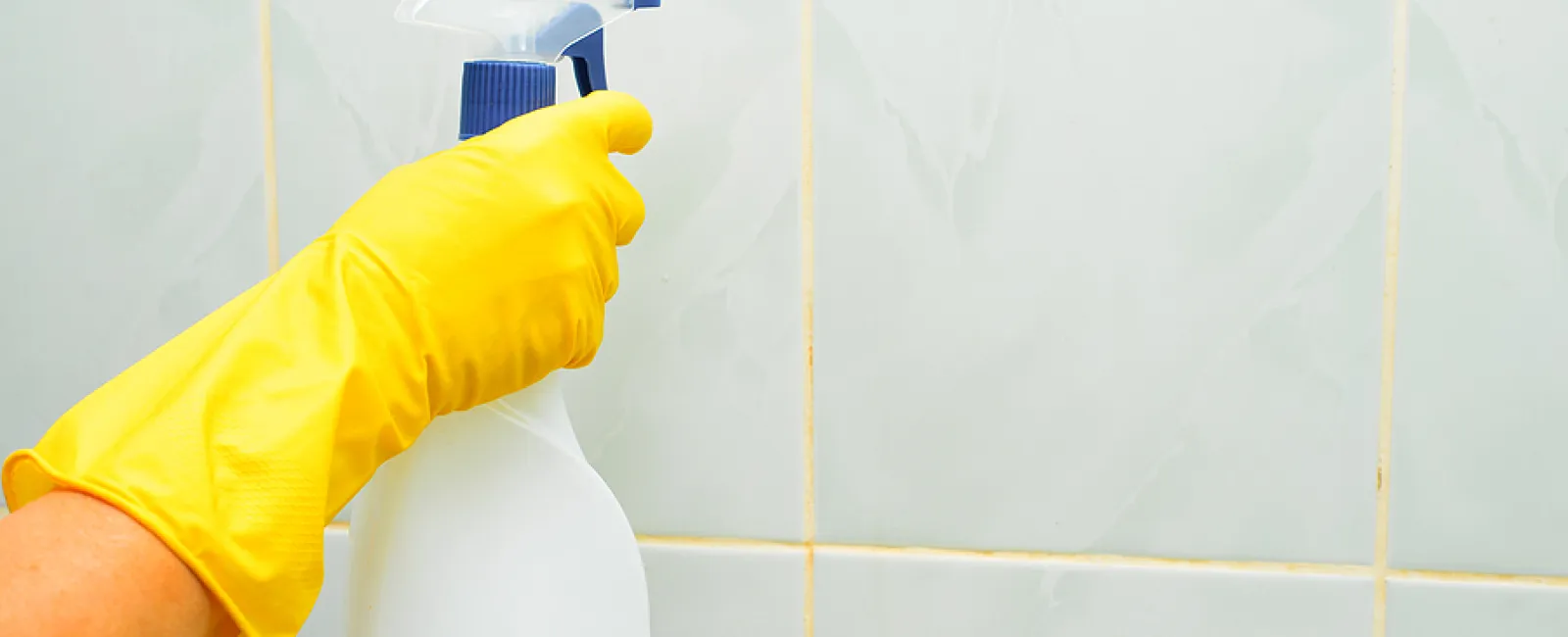 How to Remove and Prevent Black Mold in the Bathroom