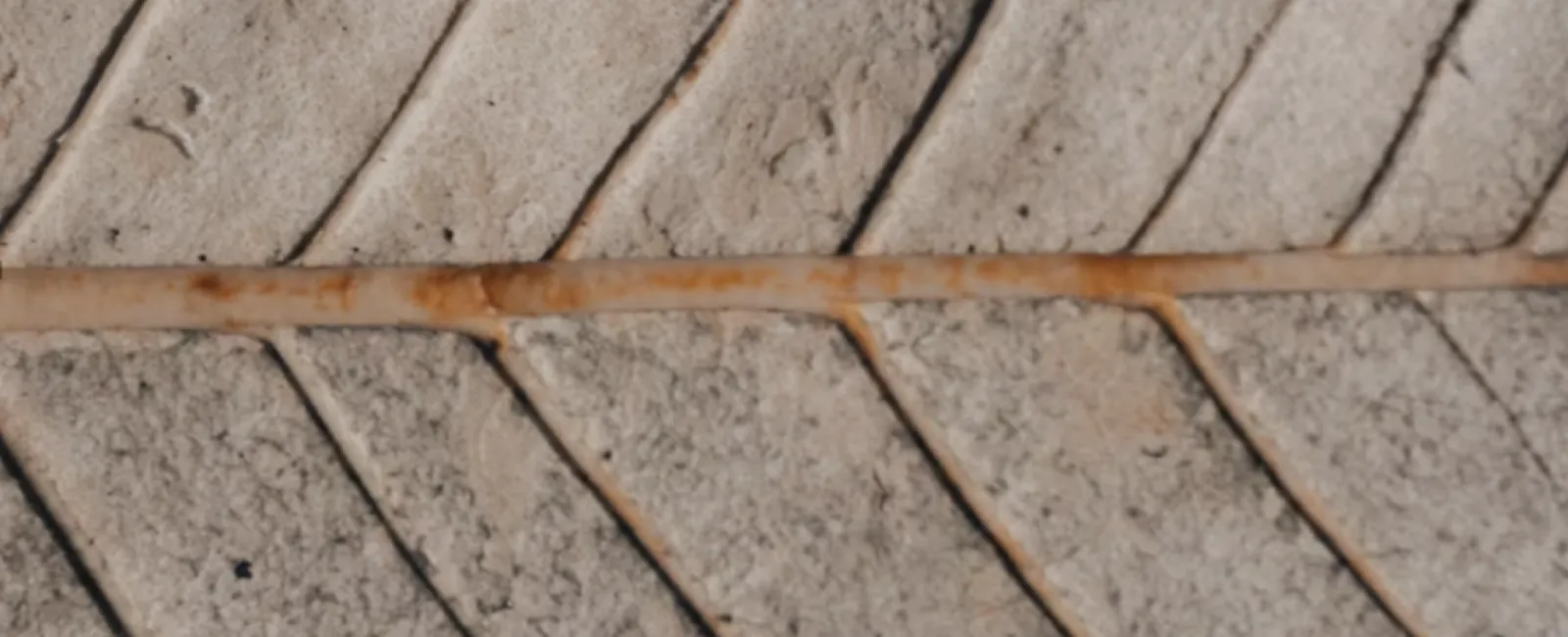 a close up of a wooden floor