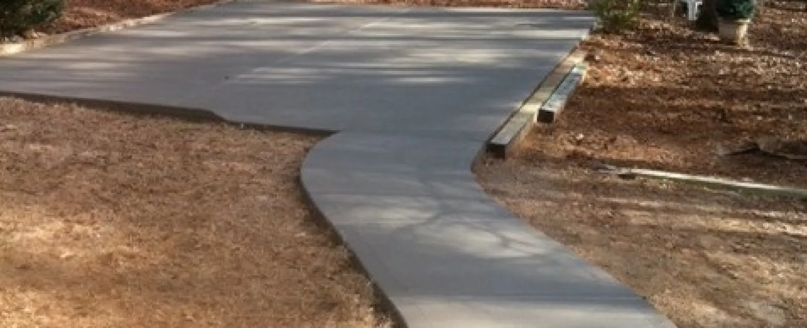 a path with trees on the side