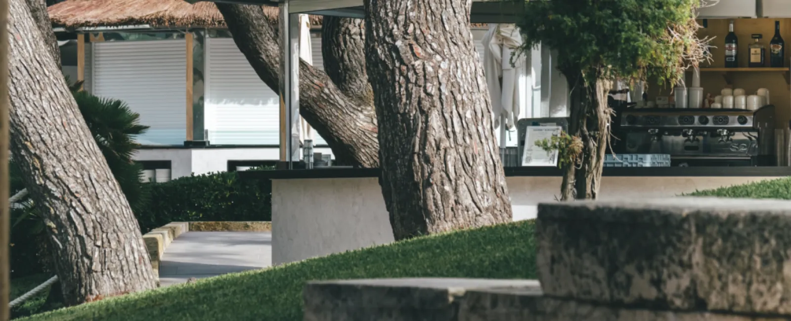 a tree in front of a house