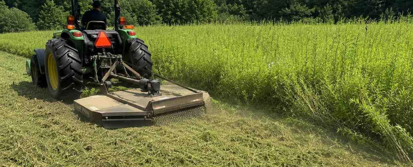 Man driving tractor mowing tall grass beside dense forest under blue sky with clouds