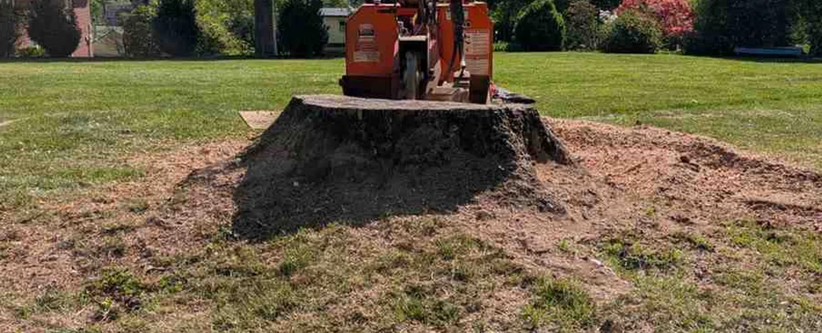 Tree stump grinder sits on large tree stump in a sunny, grassy yard with surrounding trees and a house.