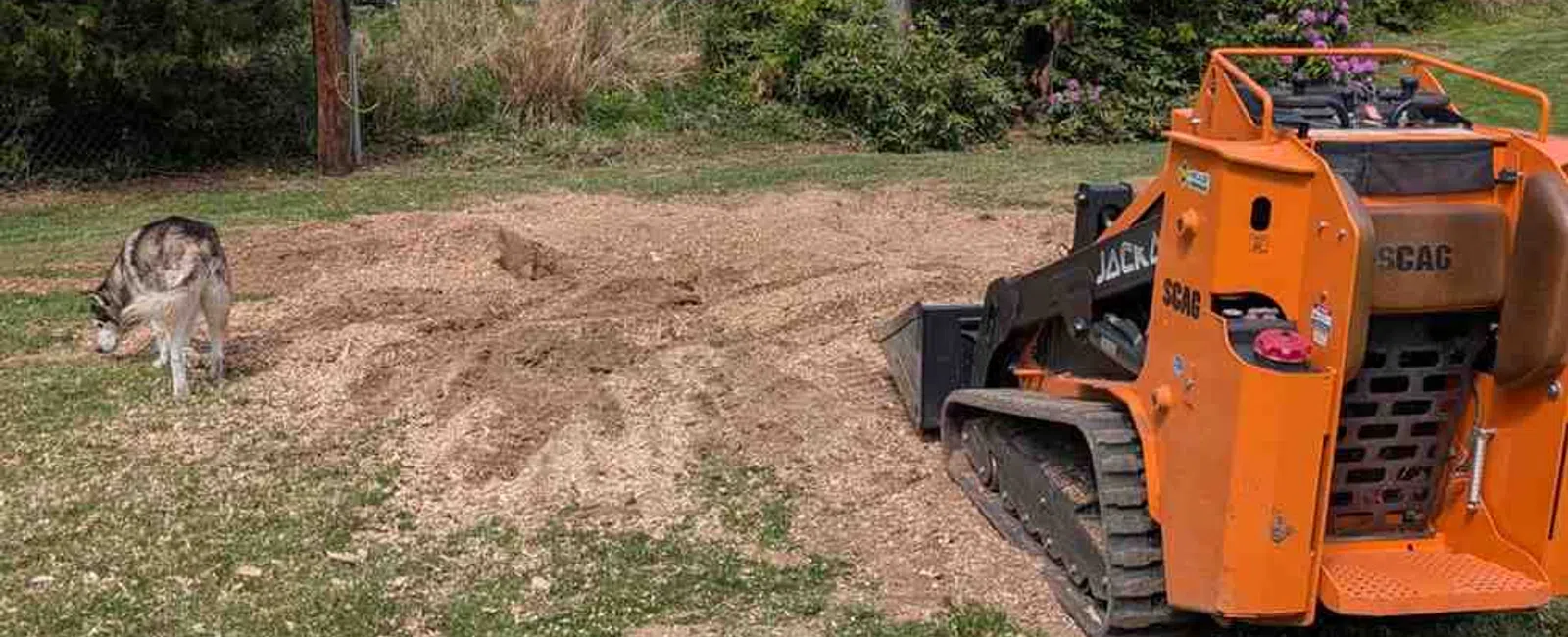 Orange mini skid steer loader on grass and dirt near a dog and a yellow helmet in a suburban backyard.