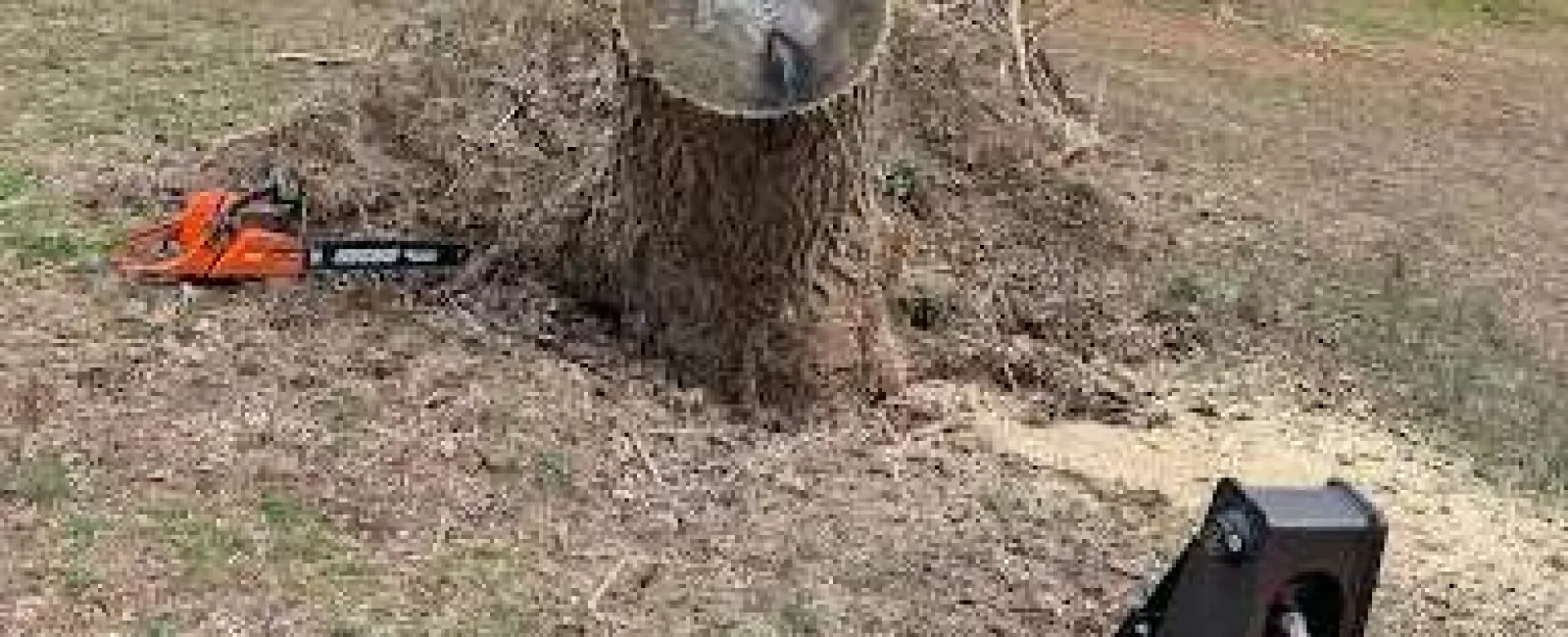 Tree stump removal in a residential yard with a chainsaw and orange stump grinder in view near houses.