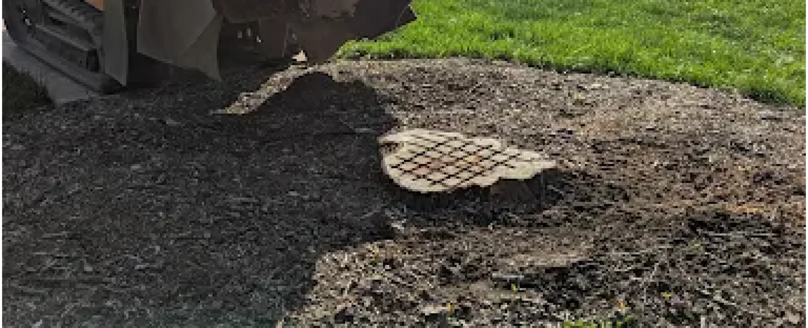 Tree stump grinding in a residential yard with stump grinder and mulch on soil under bright sunlight.