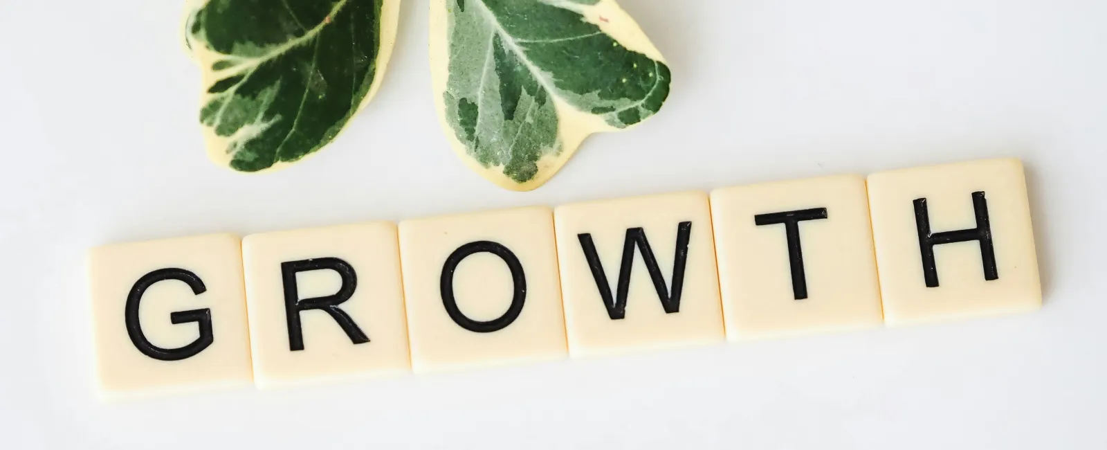 Scrabble tiles spelling GROWTH with green variegated leaves on white background representing development.