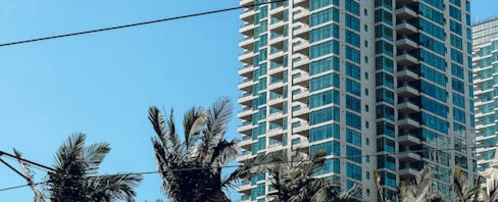 Modern high-rise building with glass windows behind palm trees and blue sky in an urban setting.