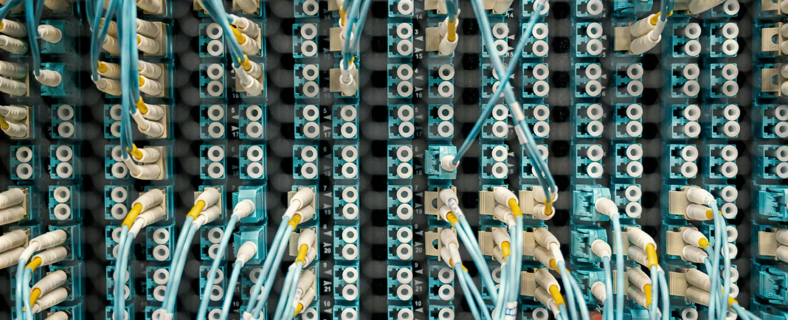 Close-up of network fiber optic cables connected to blue patch panels in a data center rack.