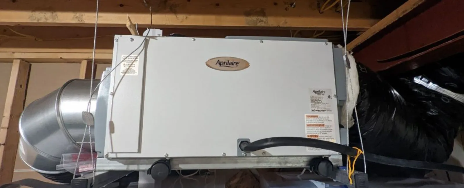 Do I need a Dehumidifier to prevent mold growth?