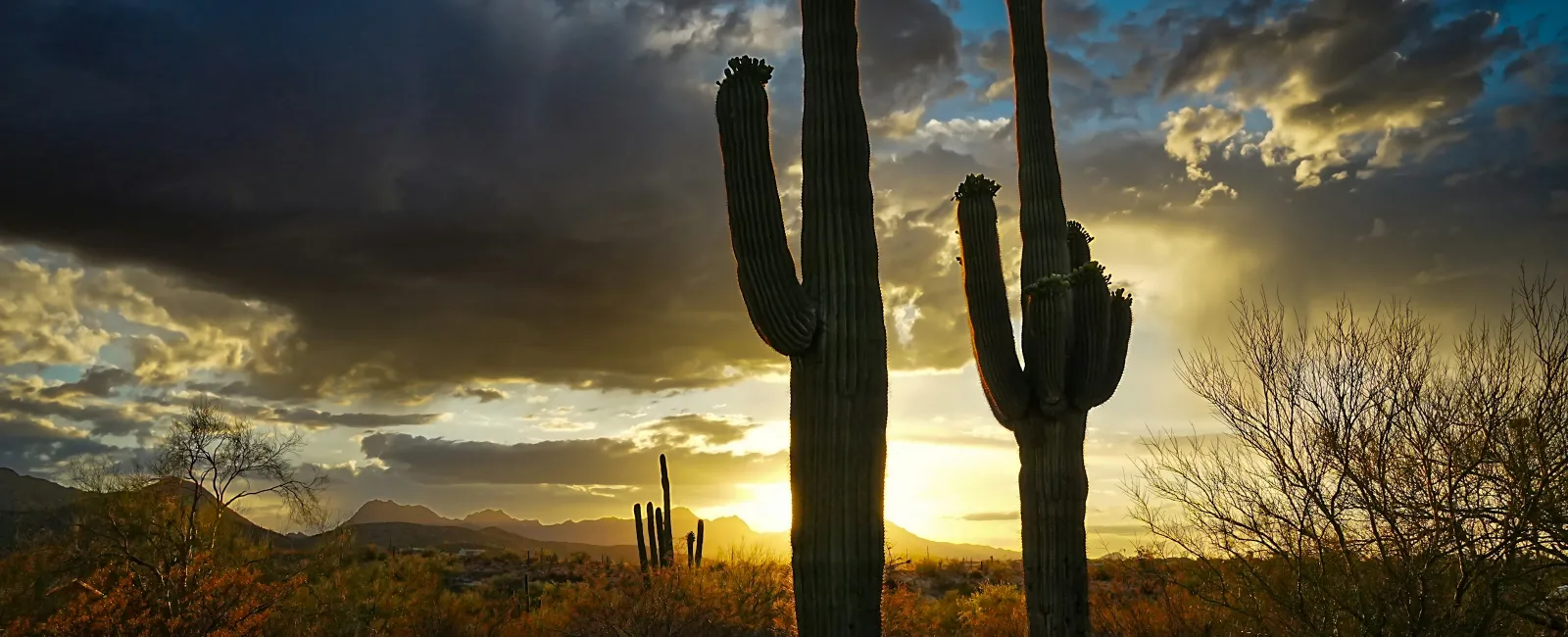 Heating + Air Paramedics Welcomes New Franchisees to Tucson, Arizona