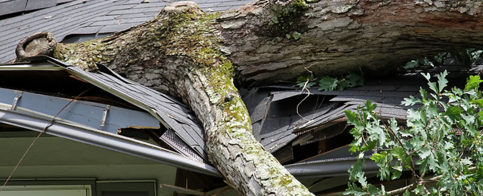 How to Protect Your Roof From Severe Storms and Hurricanes: A Complete Guide for Georgia Homeowners