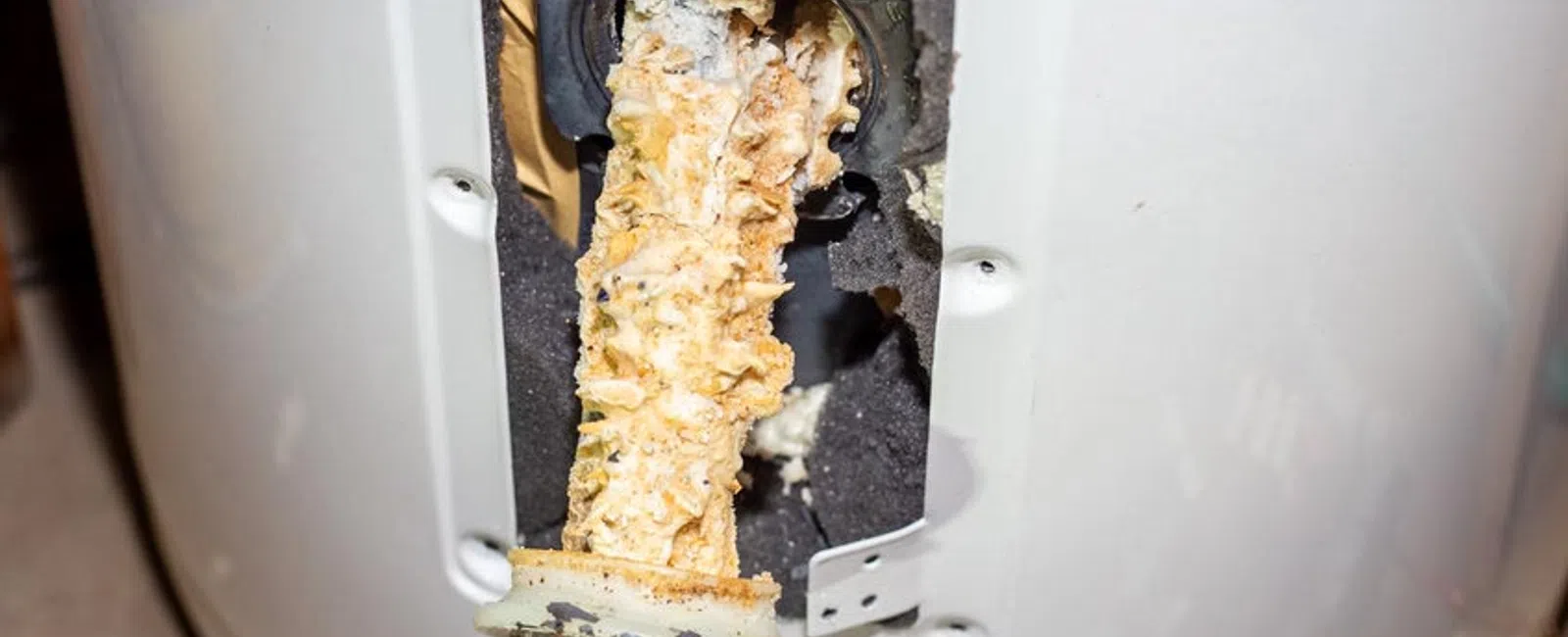 Corroded and mineral buildup on water heater heating element inside white tank unit