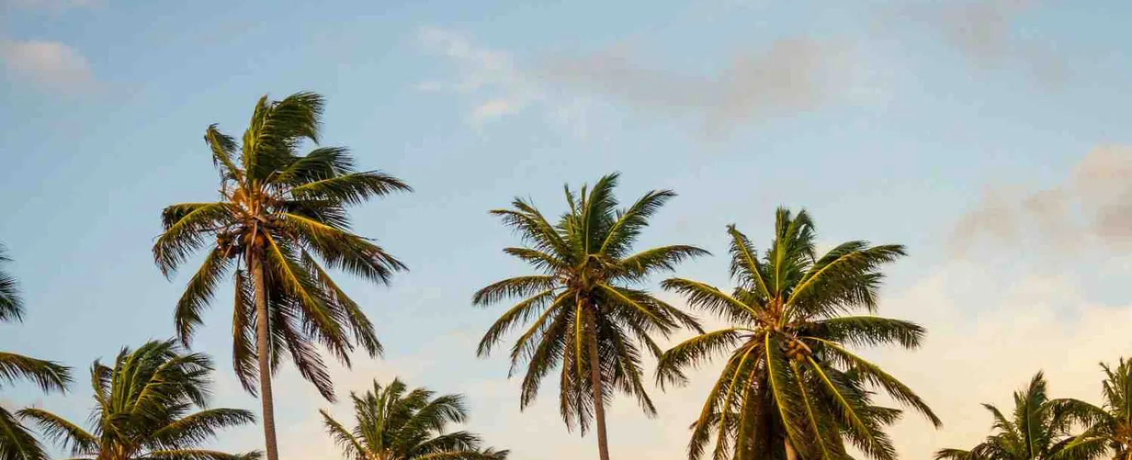 Mini Split for Small Room: The Perfect Cooling Solution for Compact Spaces