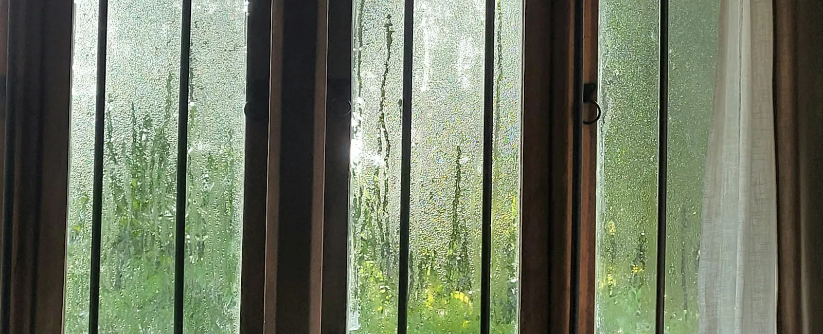 Condensation-covered window panes with vertical metal bars and greenery visible outside on a rainy day