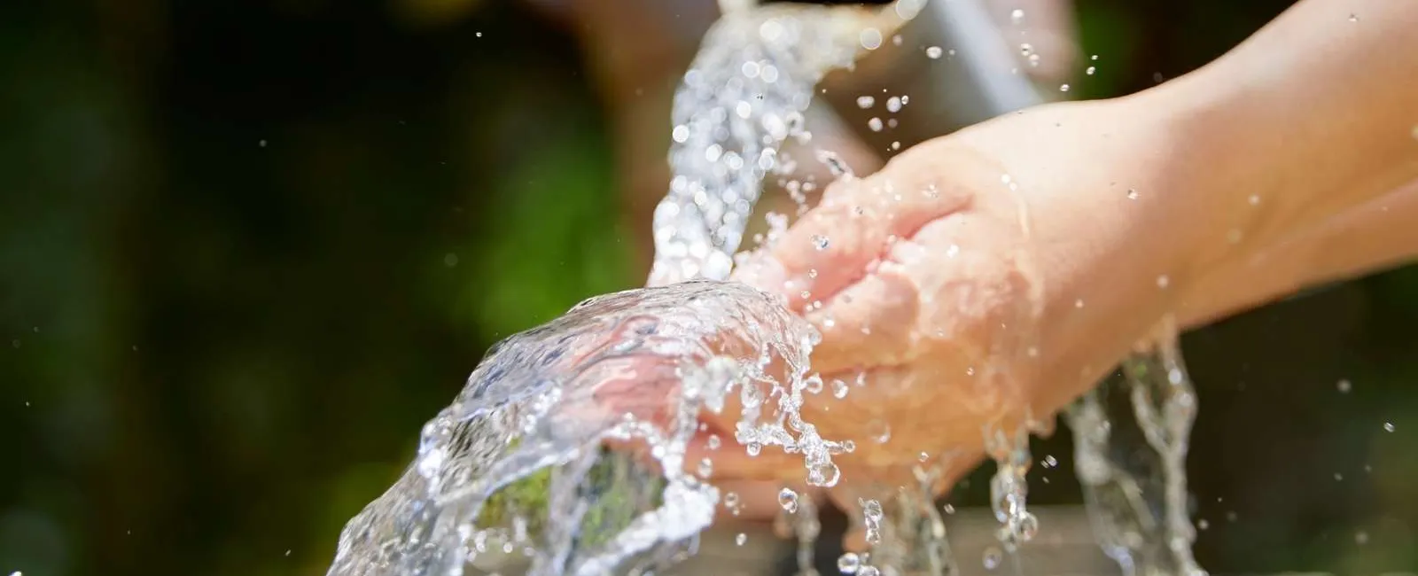 Hands catching clear water flowing from a white pipe outdoors with a blurred natural background