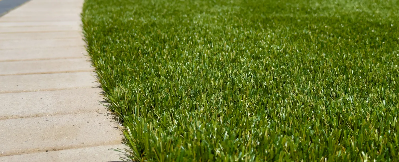 Close-up of artificial turf lawn next to curved stone walkway in a landscaped backyard.