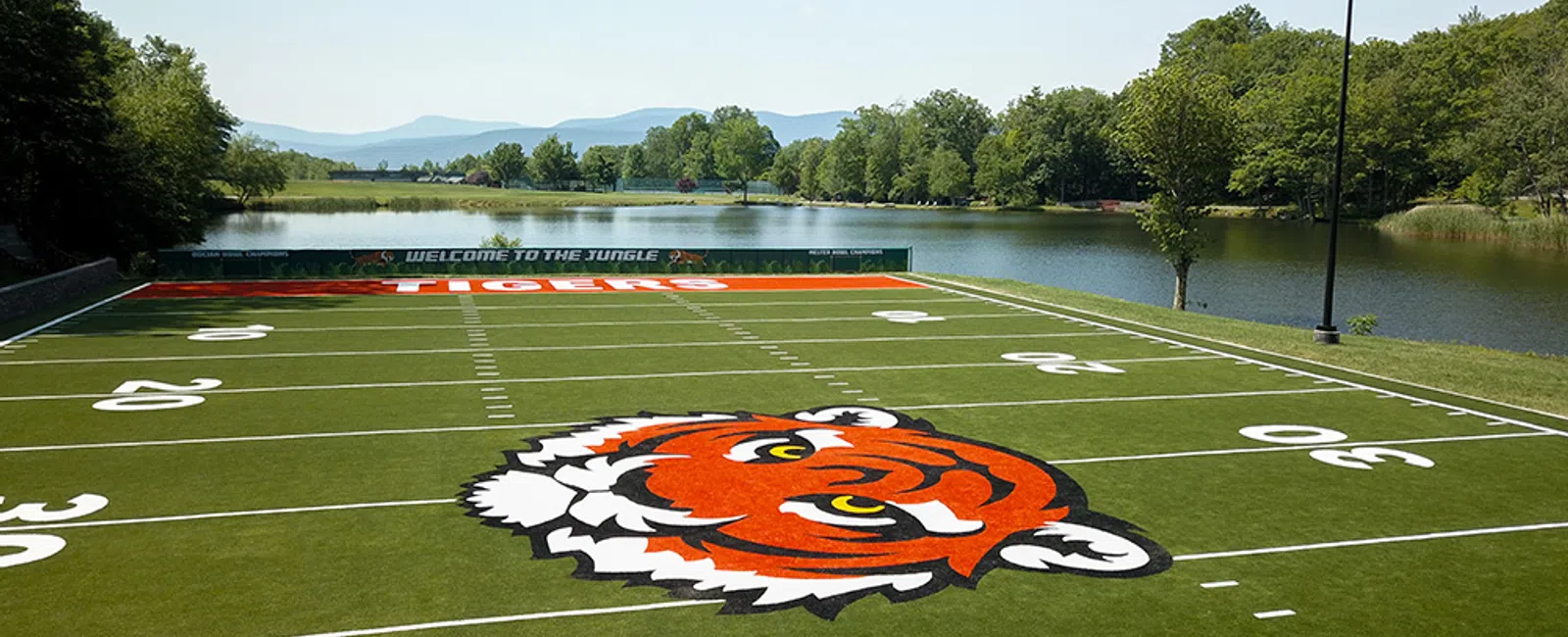 How To Maintain Safe Artificial Turf For Athletic Performance